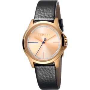 Esprit Ladies Watches ES1L028L0045