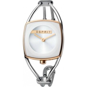 Esprit Ladies Watches ES1L042M0045