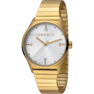 Esprit Ladies Watches ES1L032E0115