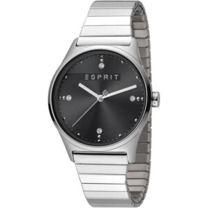 Esprit Ladies Watches ES1L032E0065