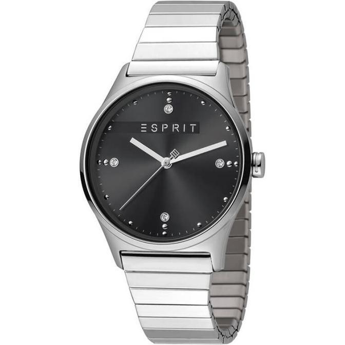 Esprit Ladies Watches ES1L032E0065 1