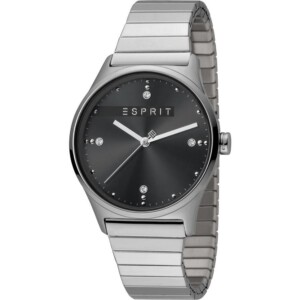 Esprit Ladies Watches ES1L032E0105