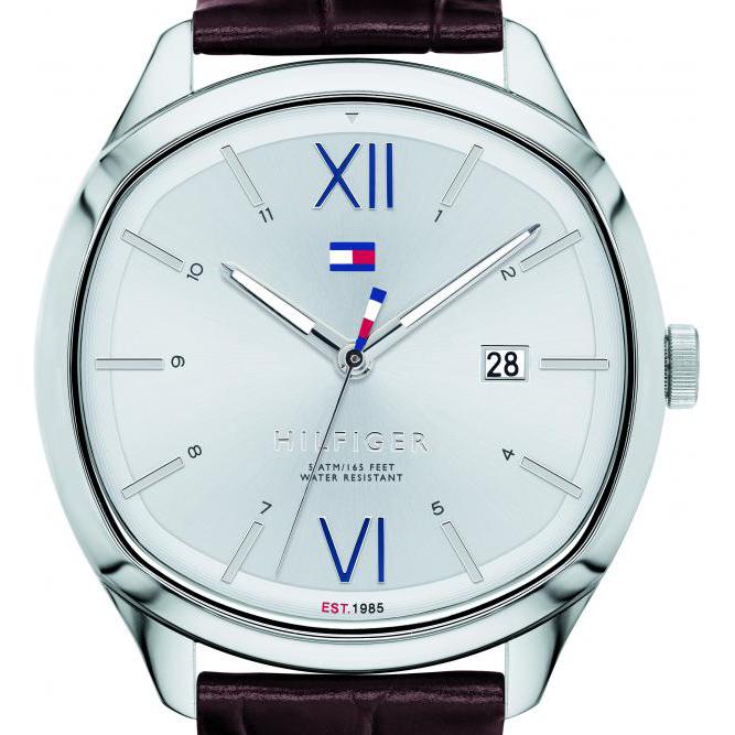 Tommy Hilfiger Andre 1710364 7