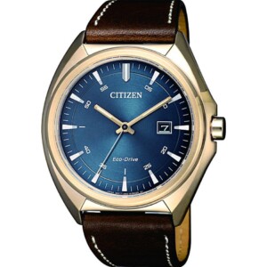 Citizen Leather AW157311L