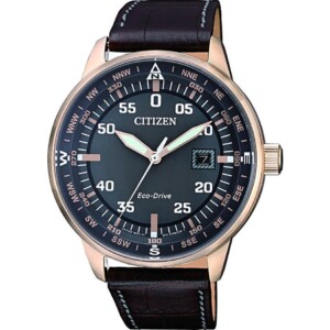 Citizen Leather BM739316H