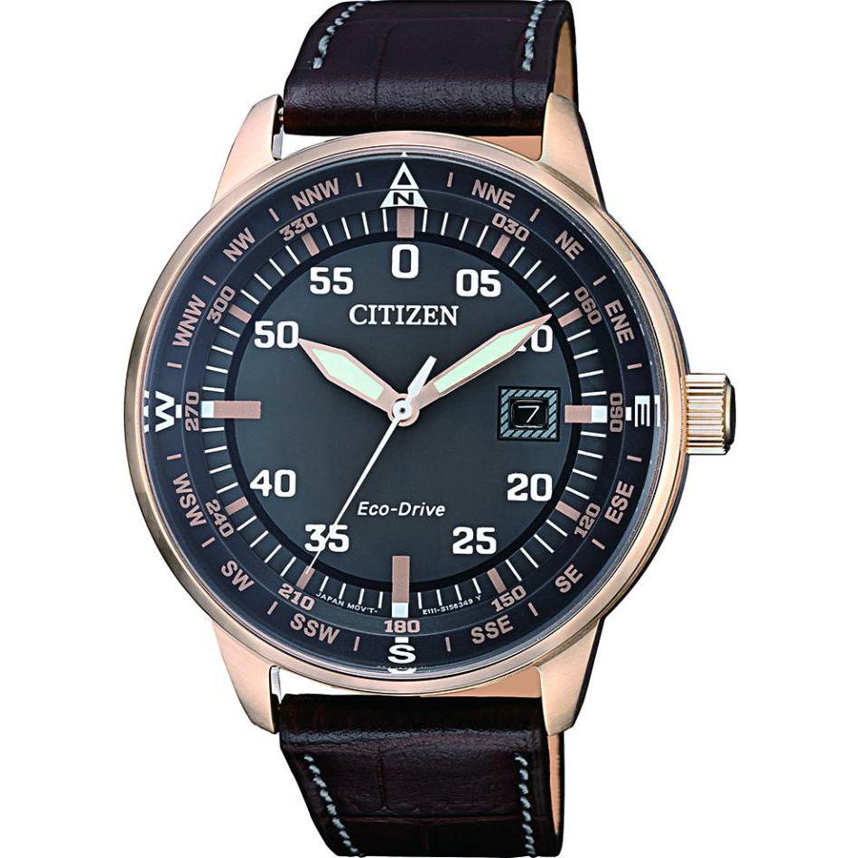 Citizen Leather BM739316H 1