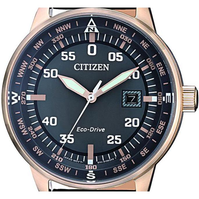 Citizen Leather BM739316H 7