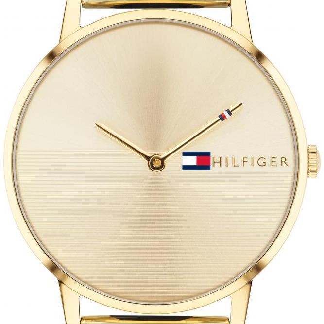 Tommy Hilfiger Alex 1781972 7