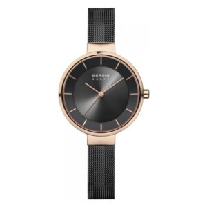 Bering Solar 14631166