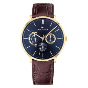 Tommy Hilfiger Dane 1710376