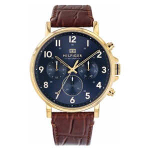 Tommy Hilfiger Dane 1710380