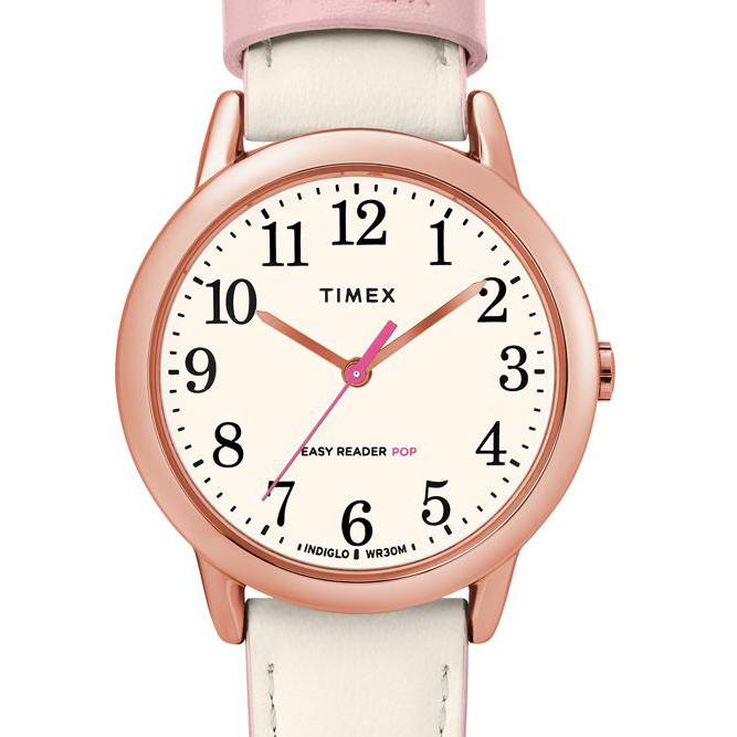 Timex Easy Reader TW2T53900 7