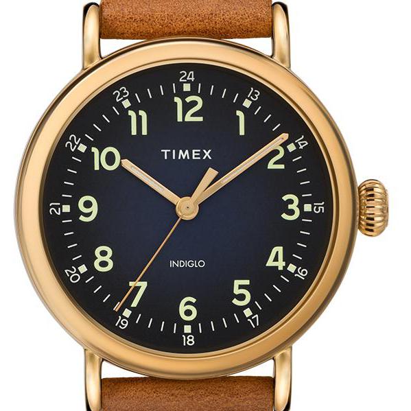 Timex ORIGINALS TW2T20000 7