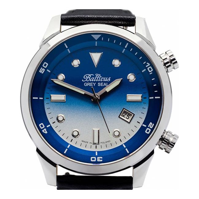 Balticus Grey seal BAGSIIB 7