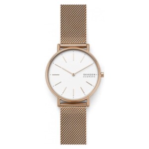 Skagen Damskie SKW2784