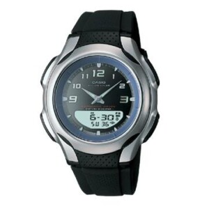 Casio Standard Combo AWS901A1