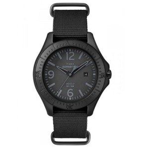 Timex Expedition T49933