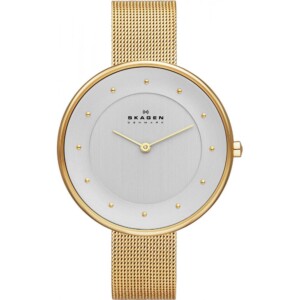 Skagen Damskie SKW2141