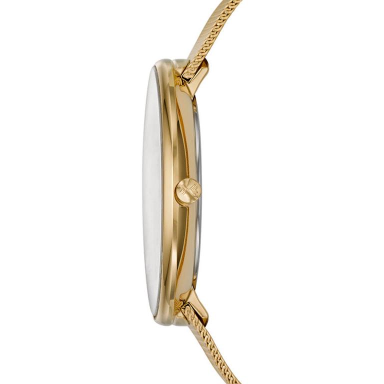 Skagen Damskie SKW2141 7