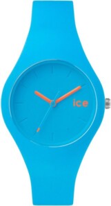 Ice Watch Ice collection ICECWNBESS