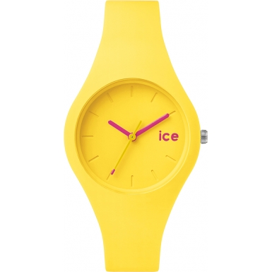 Ice Watch Ice collection ICENYWSS14 1