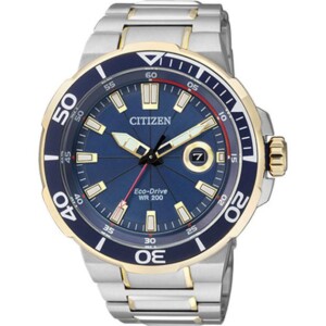 Citizen ECO DRIVE AW142462L