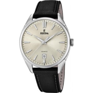 Festina CLASSIC F169773