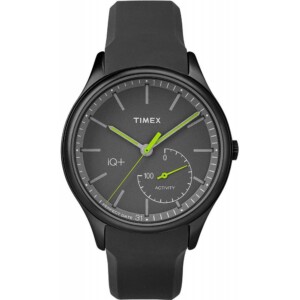 Timex IQ+ TW2P95100