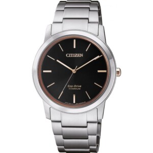 Citizen TITANIUM FE702484E