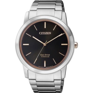 Citizen TITANIUM AW202481E